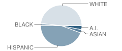 Lincoln Elementary School Student Race Distribution