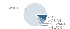 Ocean Shores Elementary School Student Race Distribution