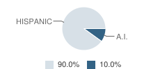 Palisades Elementary School Student Race Distribution