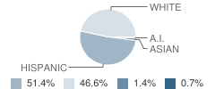 Pateros Elementary School Student Race Distribution