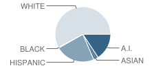 Forks Middle School Student Race Distribution