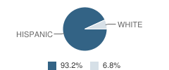 George Elementary School Student Race Distribution