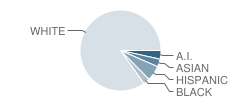 Mountain View Middle School Student Race Distribution