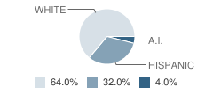 Skill Source School Student Race Distribution