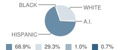 Columbia Elementary School Student Race Distribution