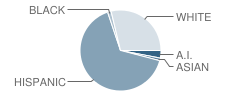 Robertson Elementary School Student Race Distribution