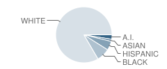 Insight School of Wisconsin Student Race Distribution