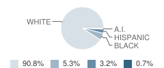 Jacob Shapiro Brain Based Instruction Laboratory Charter School Student Race Distribution