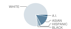 Renaissance School Student Race Distribution