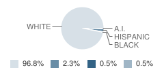 Coleman High School Student Race Distribution