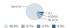 School of Technology & Arts Ii Student Race Distribution