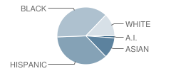 James Wright Middle School Student Race Distribution