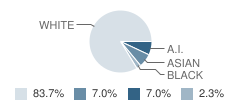 Lucas Charter School Student Race Distribution