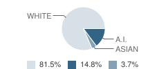 Spruce Elementary School Student Race Distribution