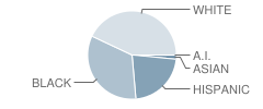 Starbuck Middle School Student Race Distribution