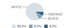 Barron County Learning Center School Student Race Distribution