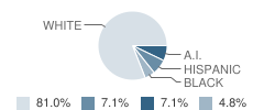 Head Start School Student Race Distribution