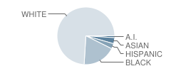 East High School Student Race Distribution