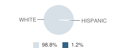 Whitesville Elementary / Junior High School Student Race Distribution