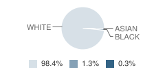 Clay County High School Student Race Distribution