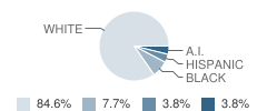 Cathedral Home for Children School Student Race Distribution