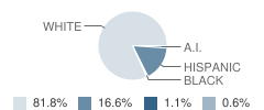 Big Piney High School Student Race Distribution