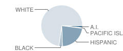 Lebhart Elementary School Student Race Distribution