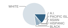 Starrett Junior High School Student Race Distribution