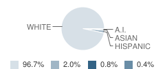 Clear Creek Middle School Student Race Distribution