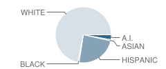 Pine Bluffs Elementary School Student Race Distribution