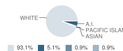 Lyman Middle School Student Race Distribution