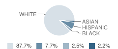 Walnut Elementary School Student Race Distribution