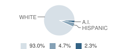 Big Horn High School Student Race Distribution