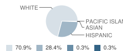 Jackson Elementary School Student Race Distribution